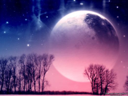 313995 (a): :1600x1200